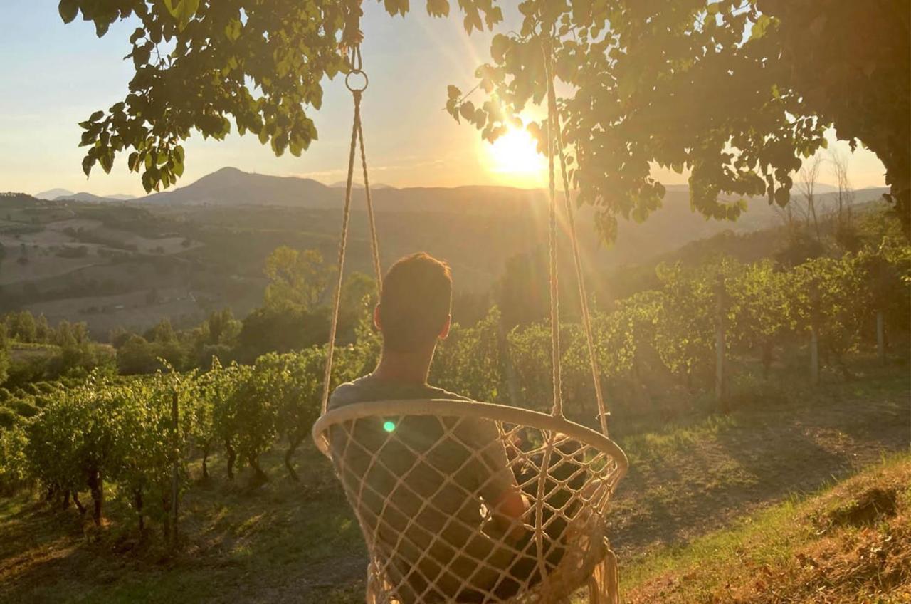 Villa Verdicchio - B&B With Wellness For Winelovers Cupramontana Exterior foto