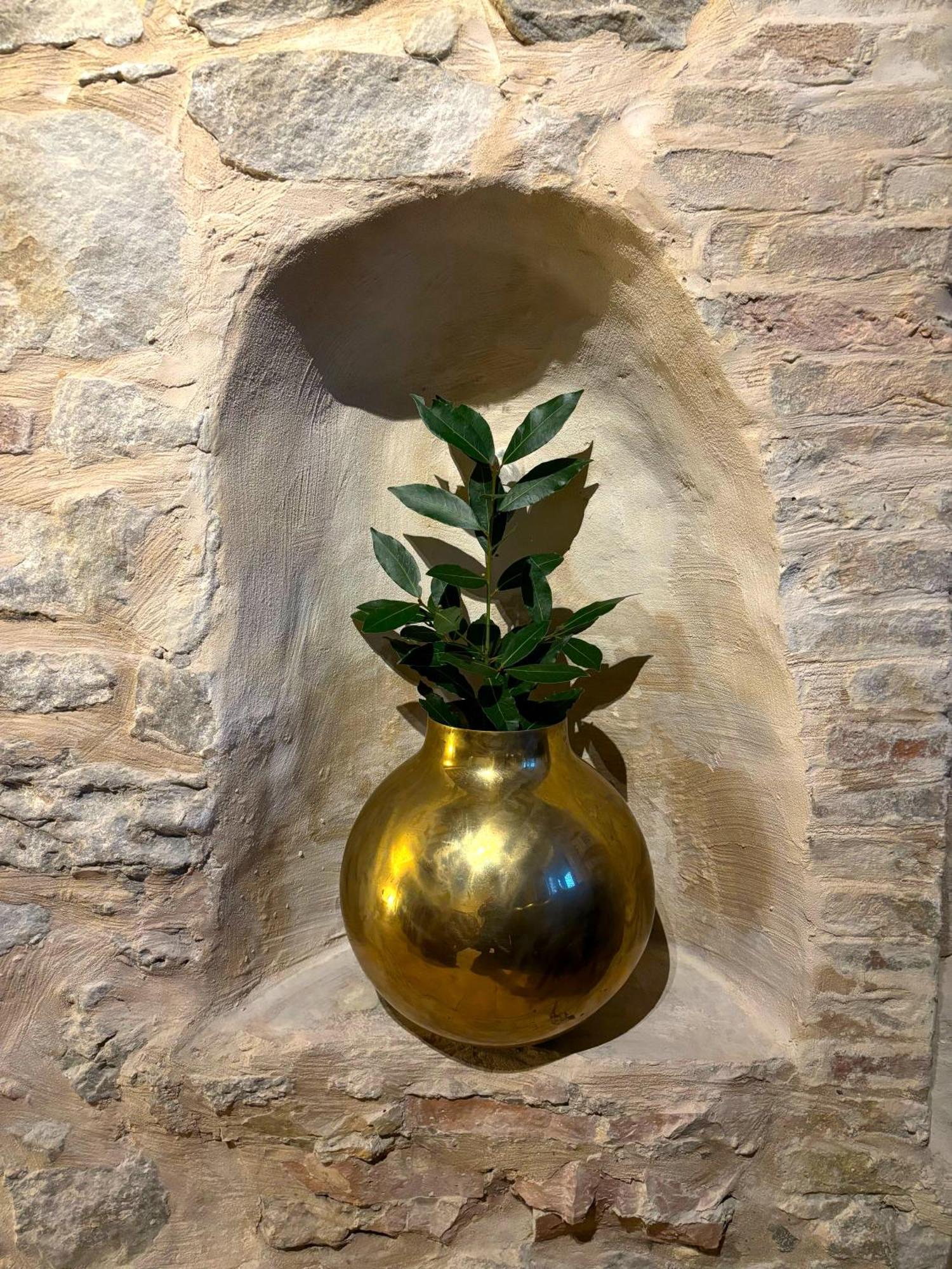 Villa Verdicchio - B&B With Wellness For Winelovers Cupramontana Exterior foto